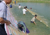 对虾养殖的水质标准 